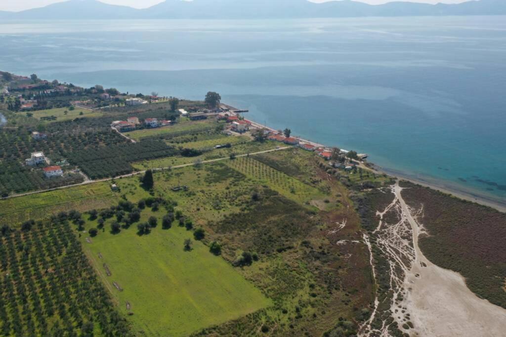 Appartement V&e's Pigadhia (Argolis)