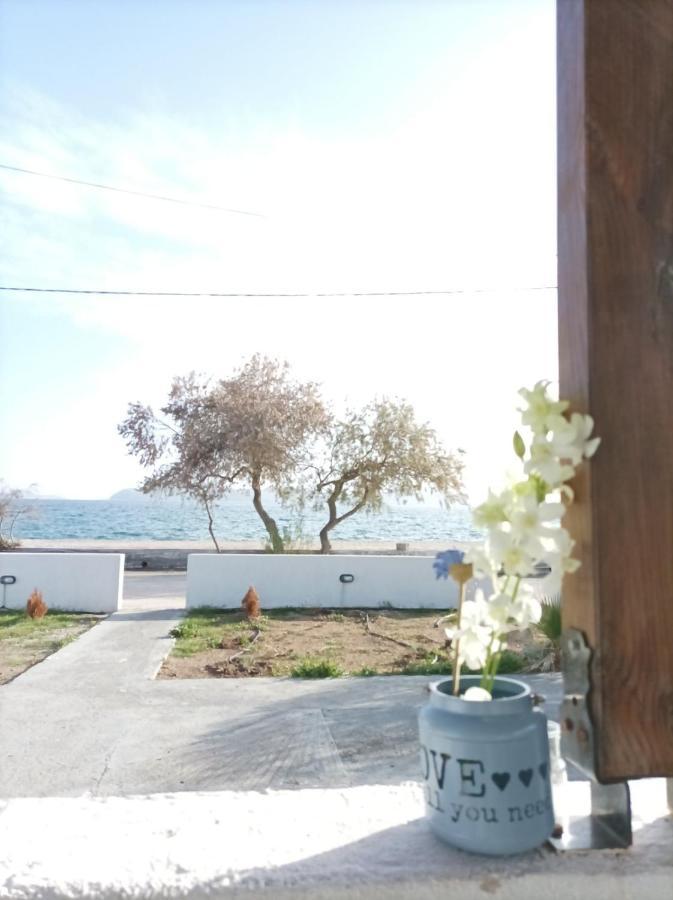 V&e's Appartement