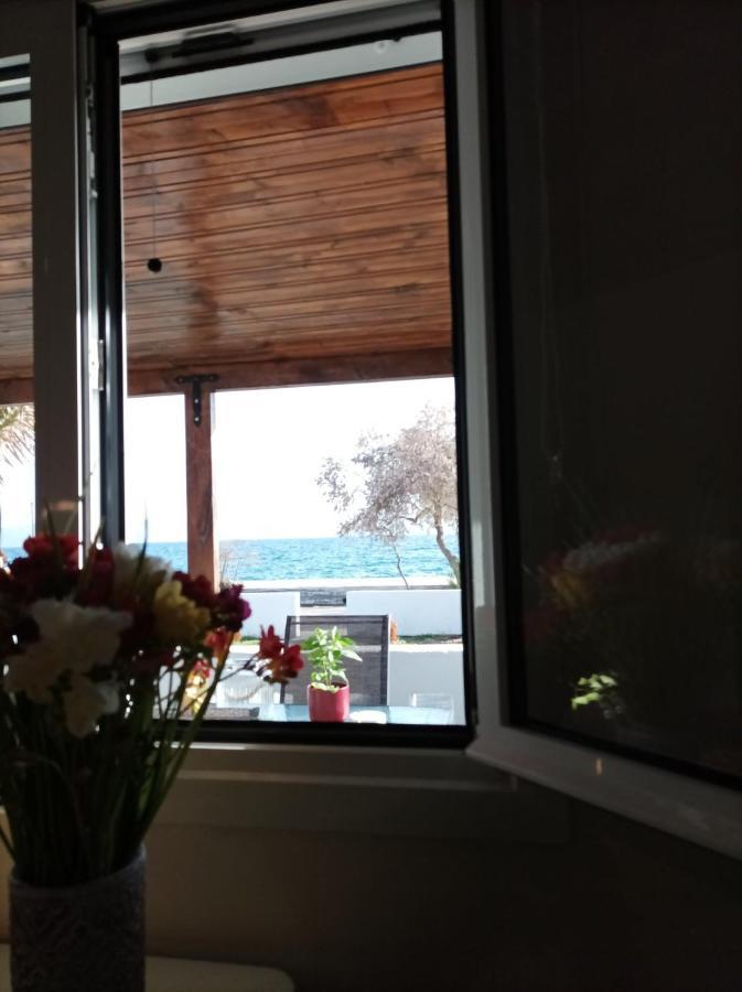 Appartement V&e's *