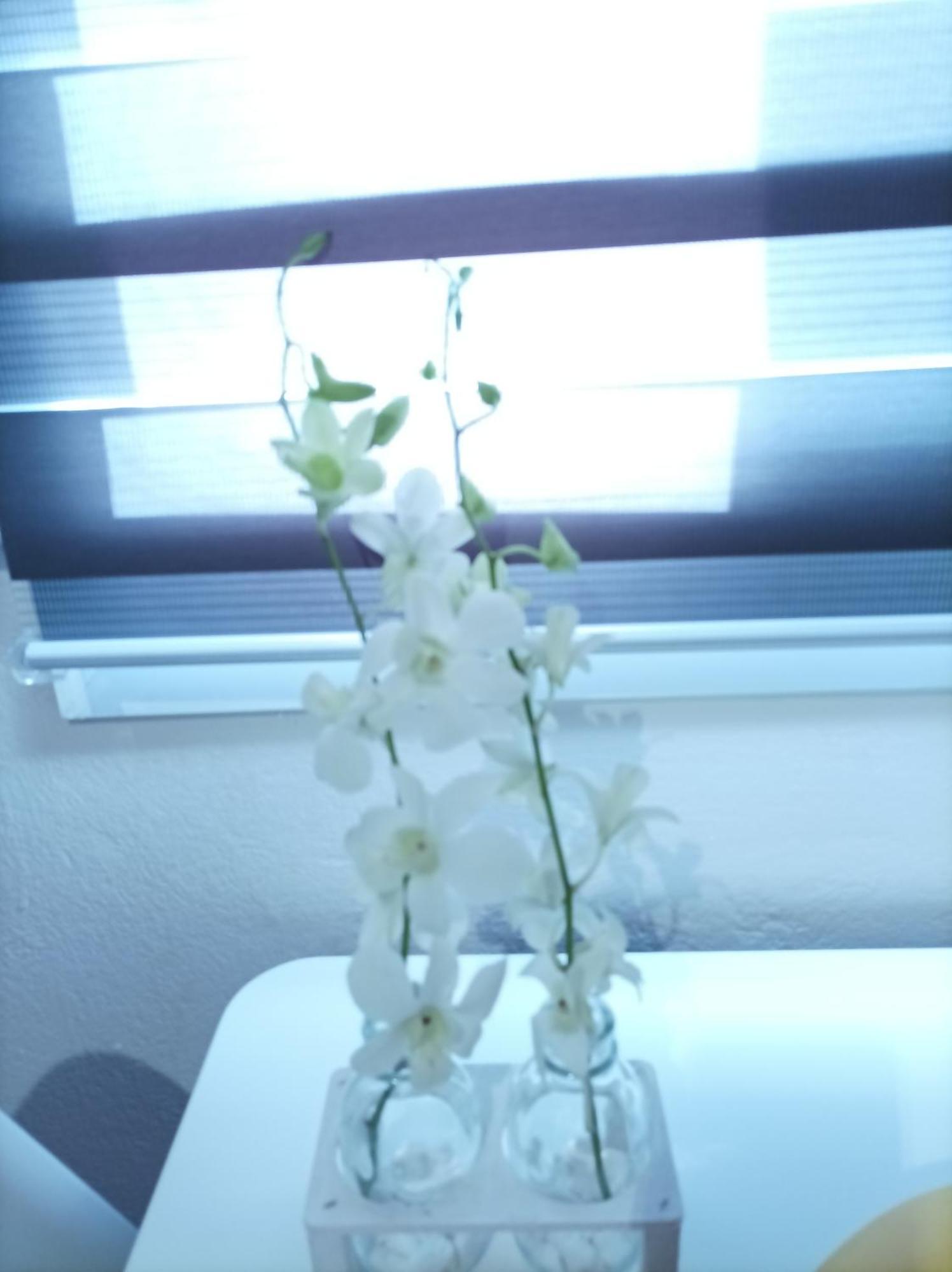 V&e's Appartement *