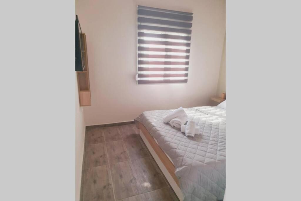 Appartement V&e's